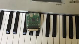 SCSI2SD Classic Korg Triton Pro X [upl. by Adlay]