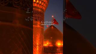 Sardaari Hussain di  shorts  karbala [upl. by Blase383]