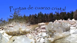 Extracción de PUNTAS DE CUARZO CRISTAL conocidas también como cuarzos maestros [upl. by Blayne]