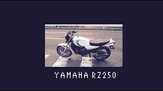 【名車解説】YAMAHA RZ250 ヤマハ バイク [upl. by Hoag129]