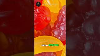 Are Motts Fruit Snacks halal mottfruit fruit snack [upl. by Nwahsal]