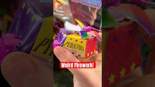 What does this Firework Do experiment fireworks shorts [upl. by Nileuqaj]