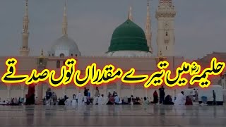 Haleema Main Tere Muqadran Tu Sadqe [upl. by Lrub]