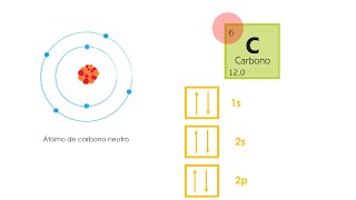 Distribución de los electrones en un átomo parte 2  semana 10 [upl. by Eak429]