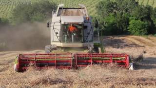 Claas Lexion 460  Cressoni CRX Sojaflex 730 Harvest Season 2016 [upl. by Rebah]