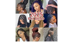 New Braids Hairstyles Extremely Stylish Knotless Braids Hairstyles for Black WomenKnotless Braids [upl. by Sybille605]