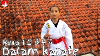 KATA 1 2 3 4 amp 5 KARATE [upl. by Anelas]