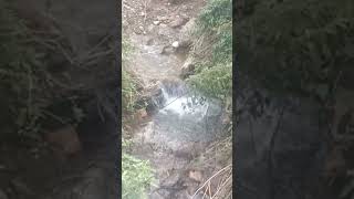 st xaviers school godawari lalitpur nepal horse stream [upl. by Nodab]