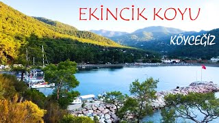 EKİNCİK KOYUNDA NEREDE KAMP YAPILIR KÖYCEĞİZ MUĞLA I SALKIM KAMP I MUĞLA KAMP ALANLARI [upl. by Ringe538]