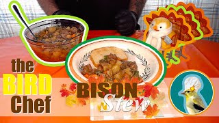 Bison Stew  Quick n Easy Recipe  The BIRD Chef [upl. by Huxley]