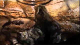 lascaux caves virtual tour [upl. by Vorfeld]