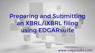 Preparing and Submitting an XBRLiXBRL filing using EDGARsuite™ SEC EDGAR filing software [upl. by Seed]