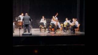 Risorgimento Italiano ATTIKA Plucked String Orchestra [upl. by Diamond]