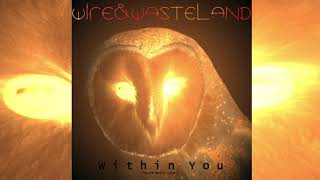 Wire amp Wasteland  Within You David Bowie Cover [upl. by Nocaed]