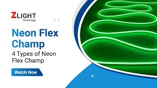 Zlight Technology  Neon Flex Champ  4 Types of Neon Flex Champ [upl. by Bearce299]