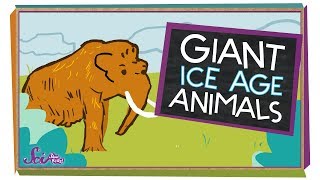 5 Giant Ice Age Animals  Natural History for Kids [upl. by Akenehs]