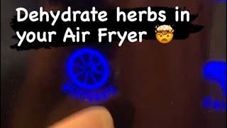 Dehydrating Herbs in an Air Fryer [upl. by Isbella]