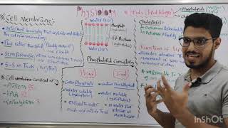 General physiology  تيم سبورة cell membrane physiology and intercellular communication [upl. by Klarika]