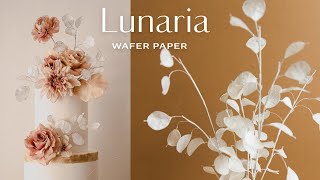 Modern Minimalist Cake Wafer Paper Lunaria for Cake Decorating [upl. by Kalb]