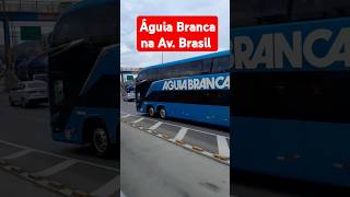 ÁGUIA BRANCA NA AV BRASIL RIO DE JANEIRO BR automobile [upl. by Neit]