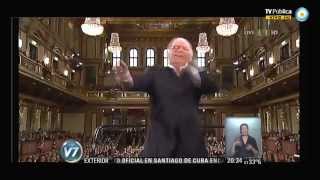 Visión 7 Barenboim dio el concierto de Año Nuevo en Viena [upl. by Baptlsta]