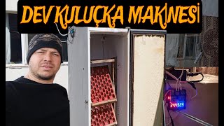 Kuluçka Makinesi Yapımı DEV GİBİ 162 yumurtalık kuluçka [upl. by Baten322]