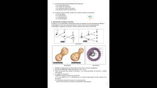 Devoir de contrôle n°1 Bac SVT 20242025 [upl. by Morten260]