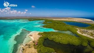 Mangrove Info Center Bonaire [upl. by Gensler]