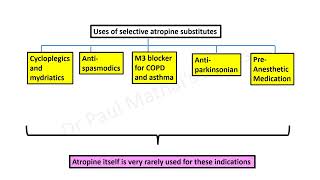 ANTICHOLINERGIC DRUGS [upl. by Dobrinsky]