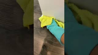 Nataliia cleaning services Housekeeper Cleaning house Maid in USA [upl. by Ludewig443]