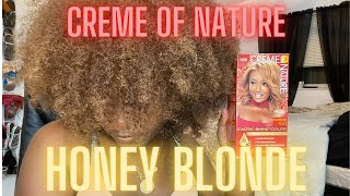 DYING MY DARK BROWN HAIR quotHONEY BLONDEquot  CREME OF NATURE [upl. by Jessamyn]