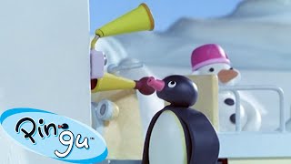 Pingu and the Doorbell 🐧  Pingu  Official Channel  Cartoons For Kids [upl. by Hatcher]