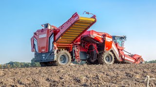 VENTOR 4150  GRIMME  Selbstfahrender Kartoffelroder [upl. by Lleneg]