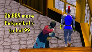 How Im Getting 99 Thieving From Lvl 95 Ardougne Knights Guide [upl. by Sutphin449]