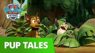 Paw patrol pups save a friend clip part 2 [upl. by Porcia]