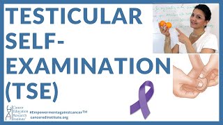 Cancer Education video HOW TO DO TESTICULAR SELFEXAMINATION TSE DETECT TESTICULAR CANCER EARLY [upl. by Aryek]