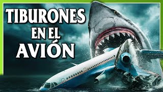 TIBURONES en el AVIÓN  No Way Up [upl. by How]