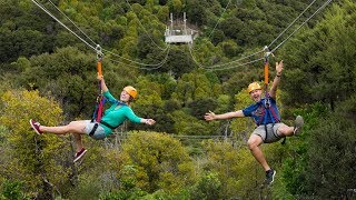 The Best of Waiheke Ziplining Wine Tasting and Vineyard Lunch [upl. by Aihsekan]