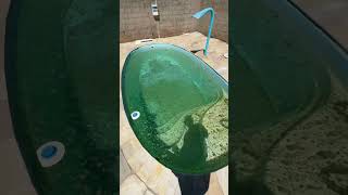 Limpando piscina com algas fy limpeza satisfying pool satisfy piscinas dicas casa fyp [upl. by Cleaves884]