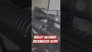 Budget Rifle Scope shortsfeed helpmegetto1ksubs [upl. by Yendys820]