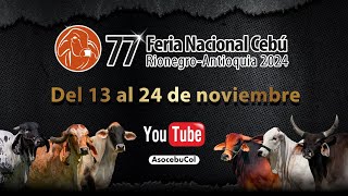 77° Feria Nacional Cebú Rionegro  Antioquia 2024  Día 2 [upl. by Enneles]