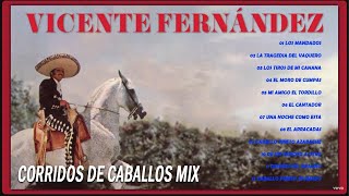 VICENTE FERNANDEZ PUROS CORRIDOS DE CABALLOS MIX 🔥 VICENTE FERNANDEZ LAS MEJORES RANCHERAS [upl. by Merth397]