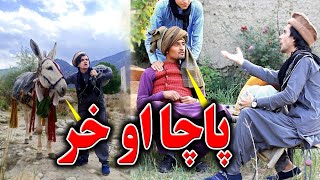 Bacha Ao Khar  Pashto New Funny Video 2021  Kabul Vines [upl. by Beacham96]