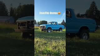 1979 ford bronco in the farm field [upl. by Anirahc]