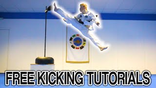 Taekwondo Kicking Tutorials Promo Ginger Ninja Trickster  How to Videos [upl. by Ayamahs]