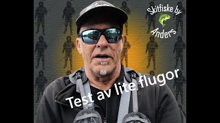 Test av lite flugor för regnbåge i Verktygsdammarna och Lilla Hålsjön [upl. by Cristen611]