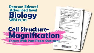 Cell Structure  Magnification  Pearson Edexcel International Advanced Level Biology [upl. by Mahmoud671]