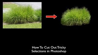 How to Cut Out Tricky Selections in Photoshop CC 2018 [upl. by Htaeh828]