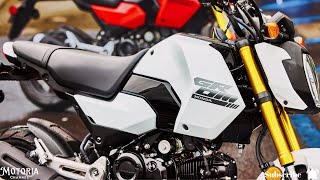 2025 Honda MSX125 Grom Gets Aggressive Makeover amp Official Accessories  New Colors [upl. by Stranger4]