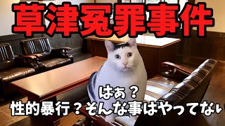 猫ミームでわかる草津冤罪事件猫マニ 猫ミーム [upl. by Nabru982]